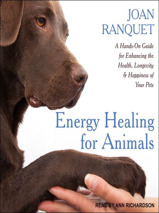 Energy Healing for Animals