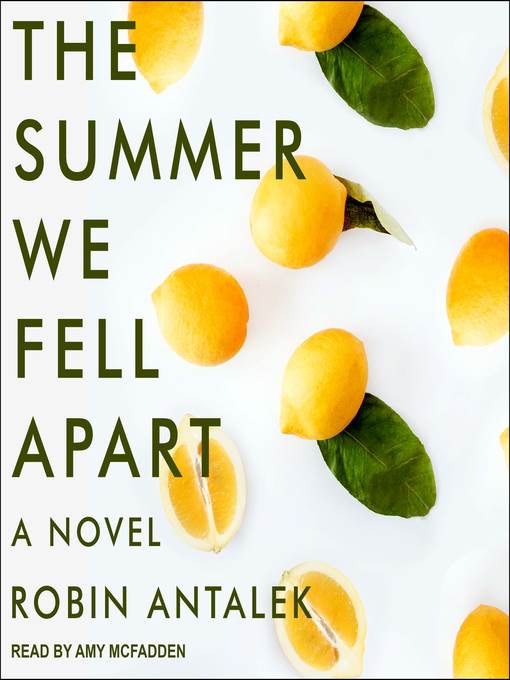 The Summer We Fell Apart