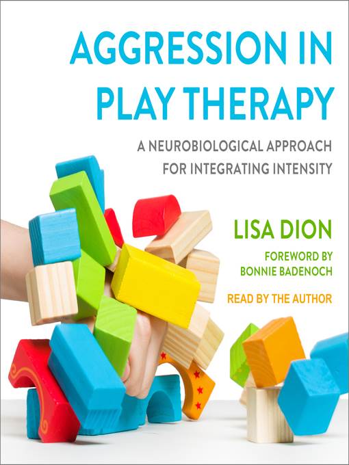 Aggression in Play Therapy