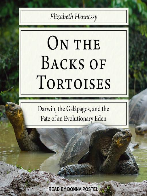 On the Backs of Tortoises