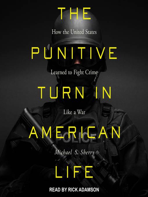 The Punitive Turn in American Life