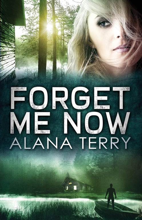 Forget Me Now: Large Print