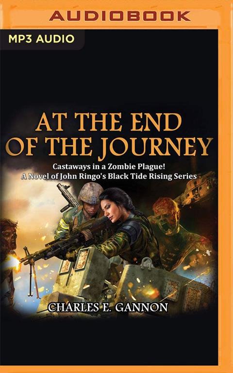 At the End of the Journey (Black Tide Rising, 8)