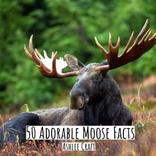 50 Adorable Moose Facts (50 Adorable Facts) (Volume 2)