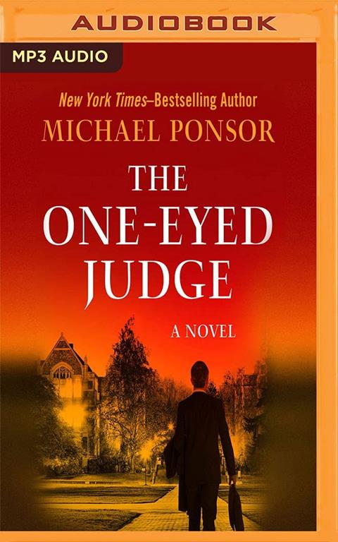 One-Eyed Judge, The (The Judge Norcross Novels)