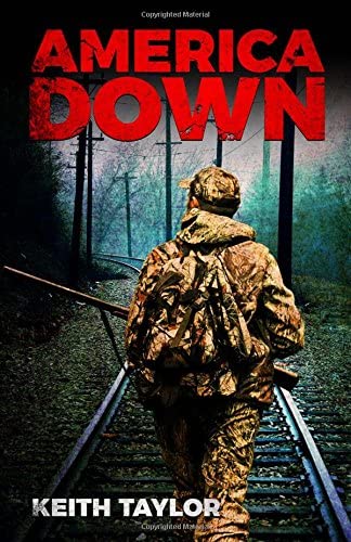 America Down (Willow Falls) (Volume 2)