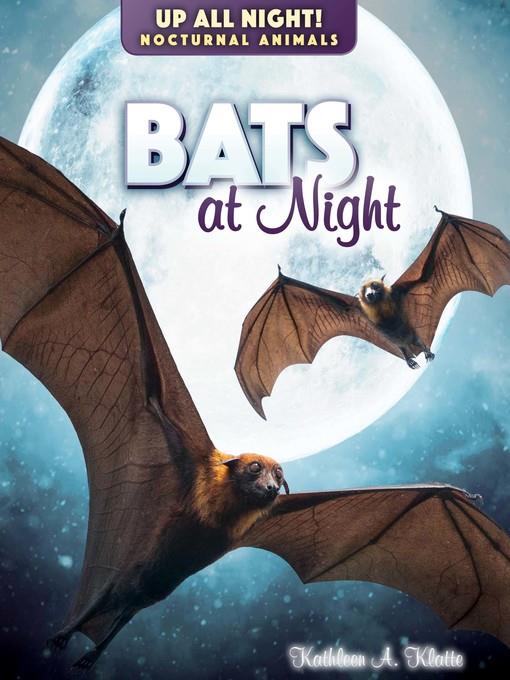 Bats at Night