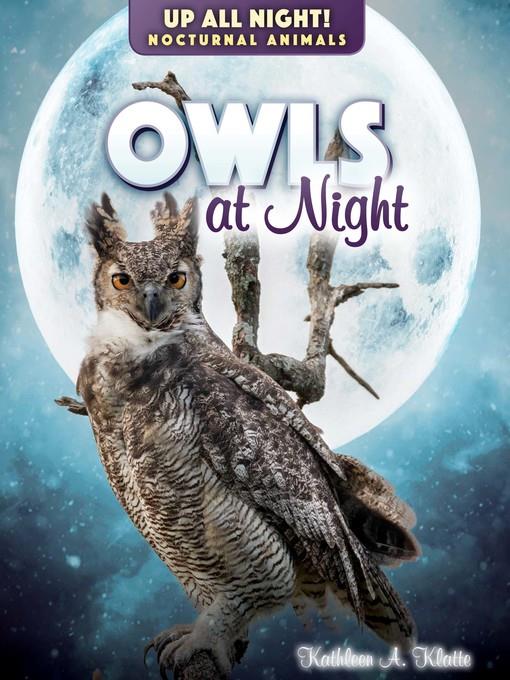 Owls at Night