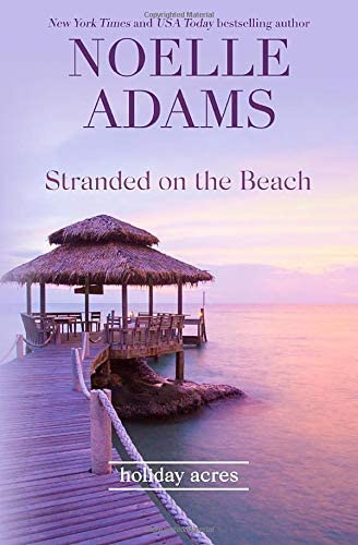 Stranded on the Beach (Holiday Acres) (Volume 1)