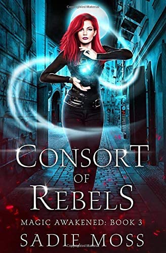 Consort of Rebels: A Reverse Harem Urban Fantasy (Magic Awakened)