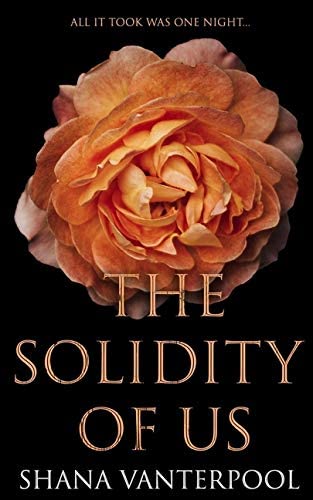 The Solidity of Us: A Novel