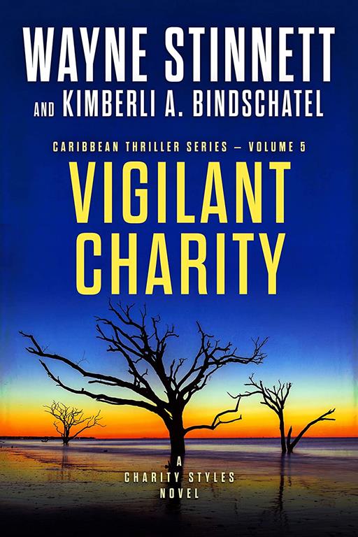 Vigilant Charity: A Charity Styles Novel