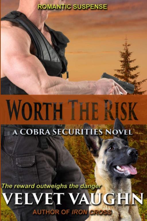 Worth the Risk (COBRA Securities)