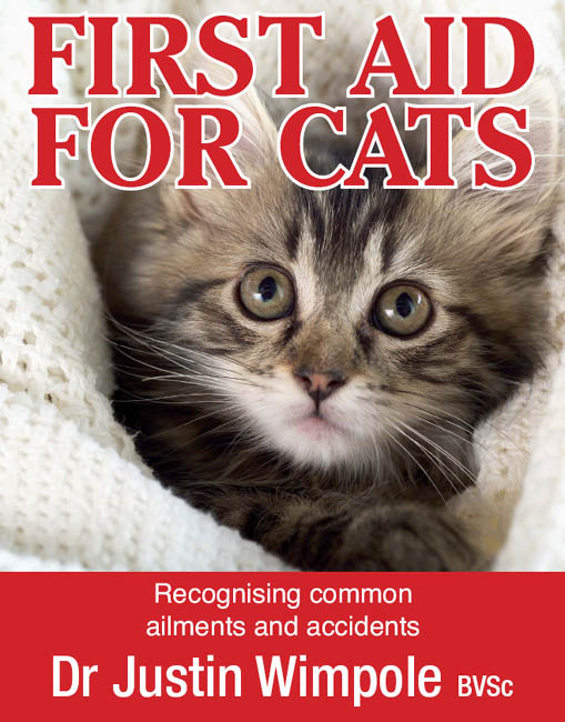 First Aid for Cats