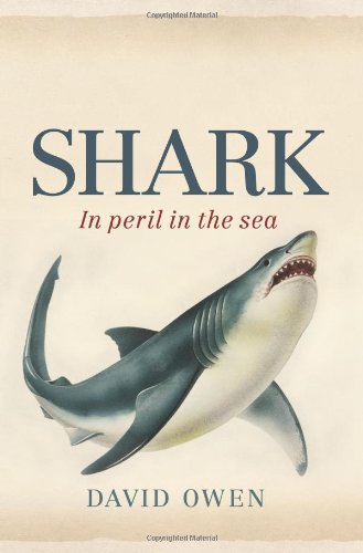 Shark