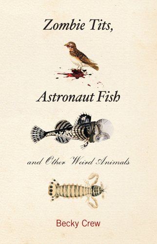 Zombie Tits, Astronaut Fish and Other Weird Animals