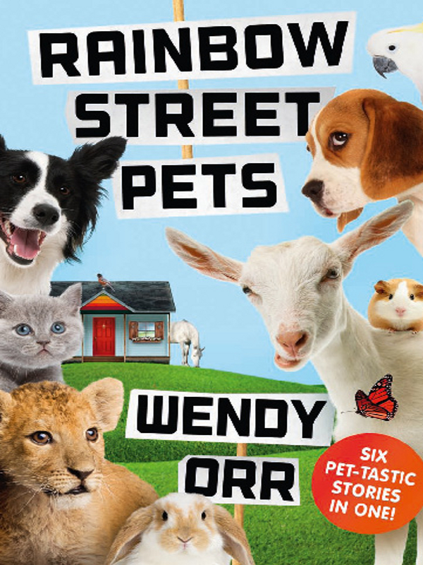 Rainbow Street Pets