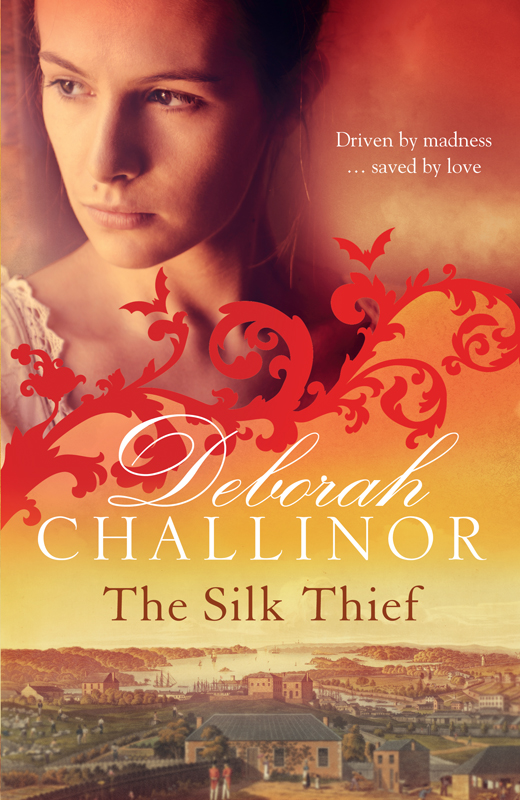 The Silk Thief