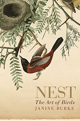 Nest : the art of birds