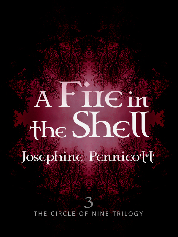 A Fire In The Shell