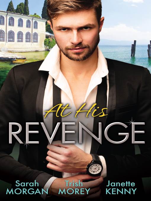 At His Revenge--3 Book Box Set