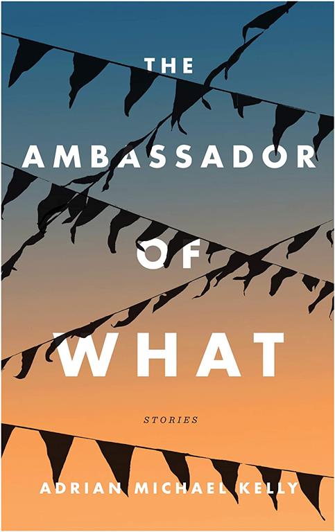 The Ambassador of What: Stories