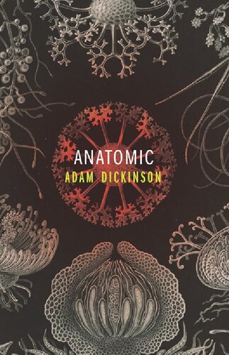 Anatomic