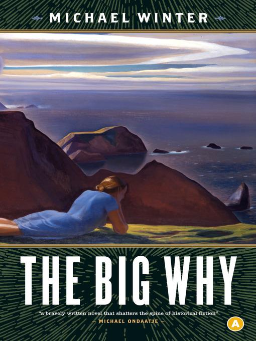 The big why : a novel