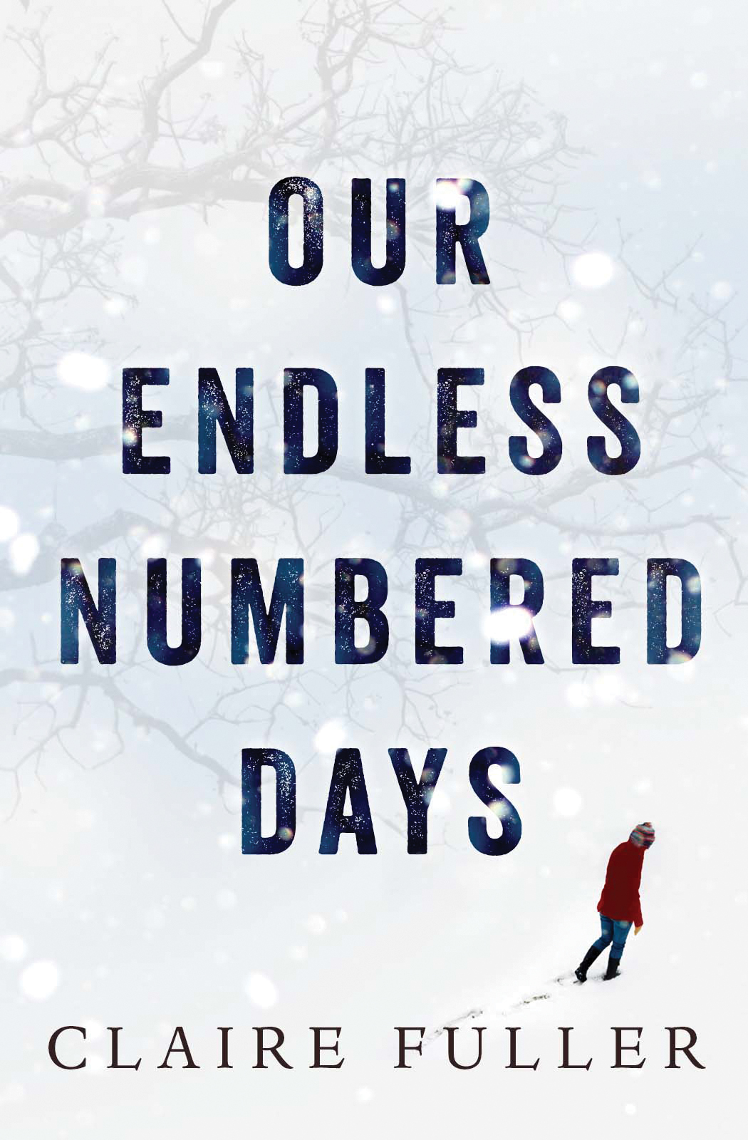 Our Endless Numbered Days