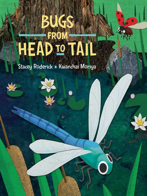 Bugs from Head to Tail