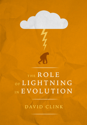 The Role of Lightning in Evolution