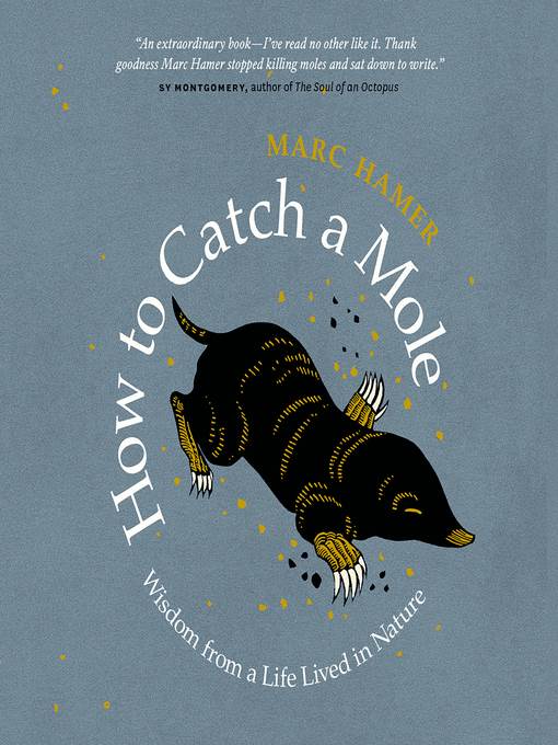 How to Catch a Mole