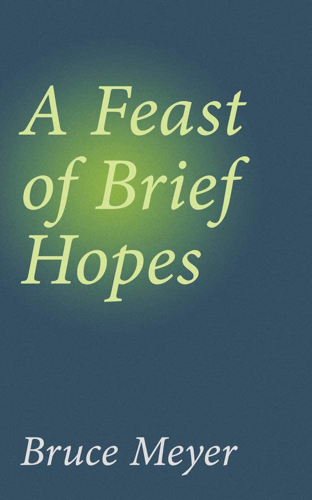 A Feast of Brief Hopes, A (144) (Essential Prose Series)