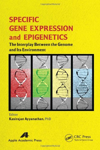 Specific Gene Expression and Epigenetics