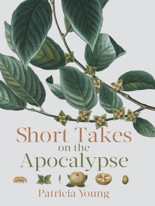 Short Takes on the Apocalypse