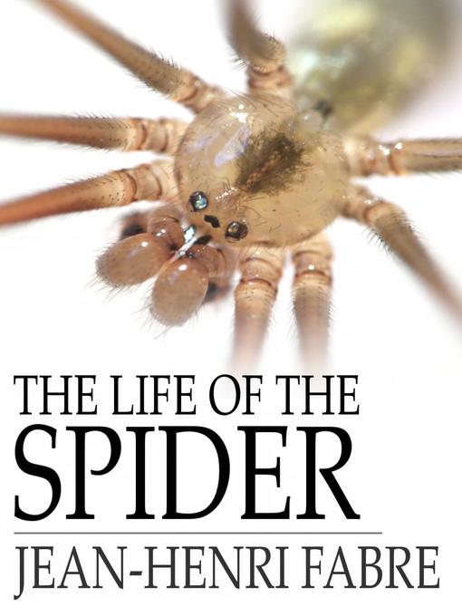 The Life of the Spider