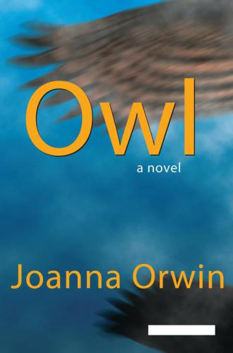 Owl : a novel