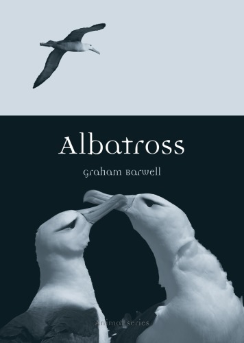 Albatross