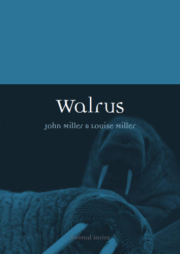 Walrus