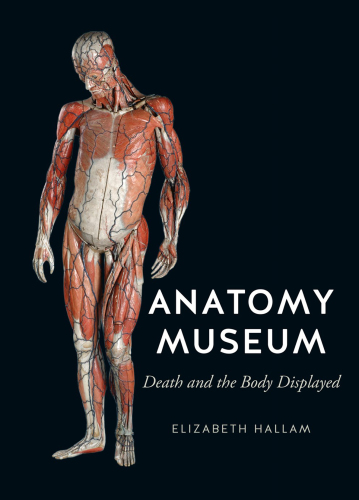 Anatomy Museum