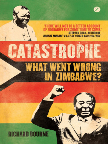 Catastrophe : what went wrong in Zimbabwe?