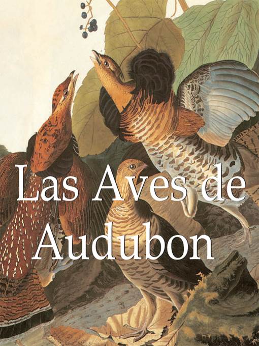 Audubon's Birds