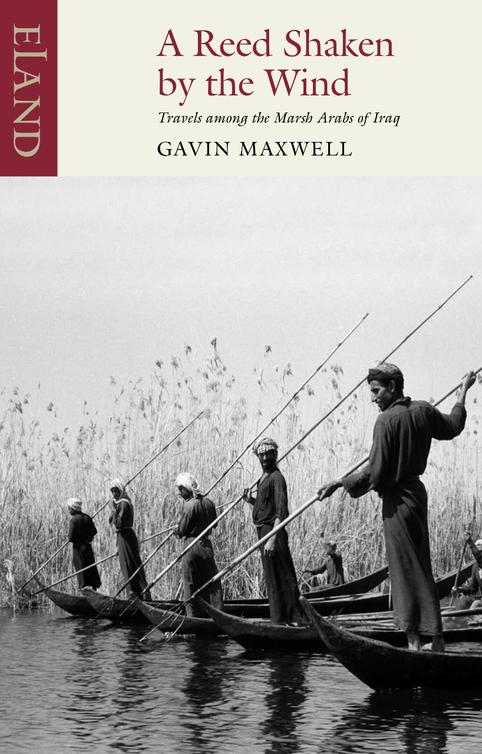 Reed shaken by the wind : travels among the marsh arabs of iraq.