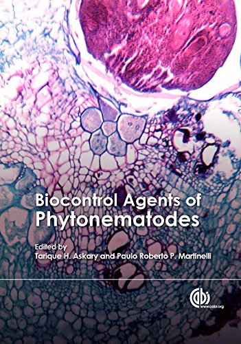 Biocontrol Agents of Phytonematodes