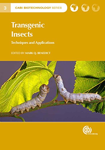 Transgenic Insects