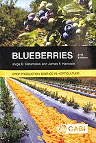 Blueberries