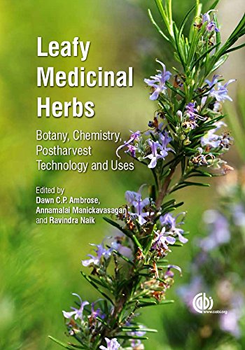 Leafy Medicinal Herbs