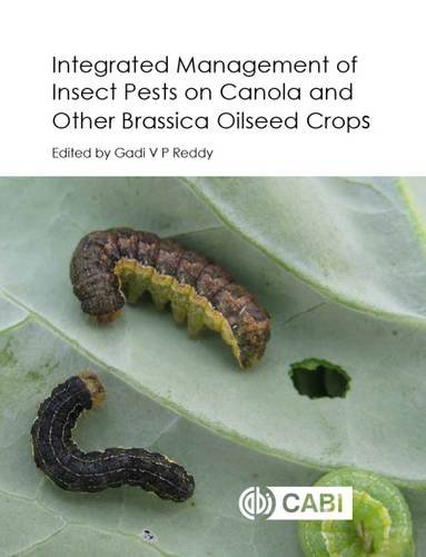 Integrated Management of Insect Pests on Canola and Other Brassica Oilseed Crops