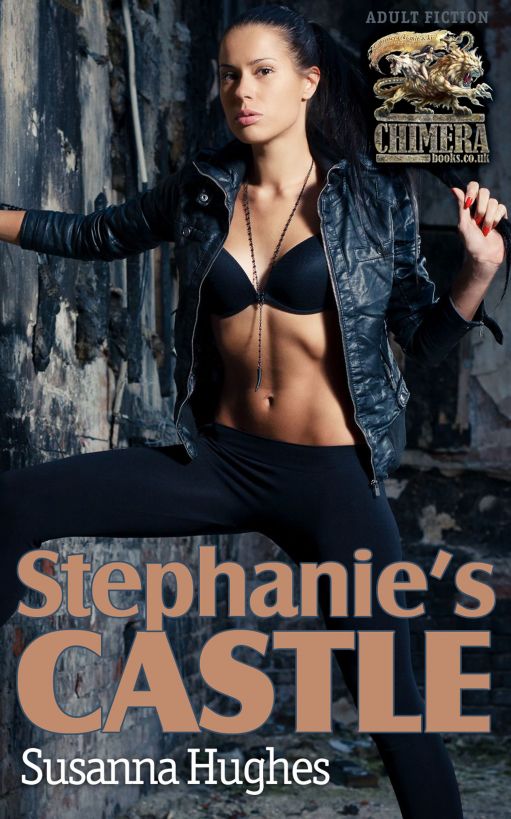 Stephanie's Castle