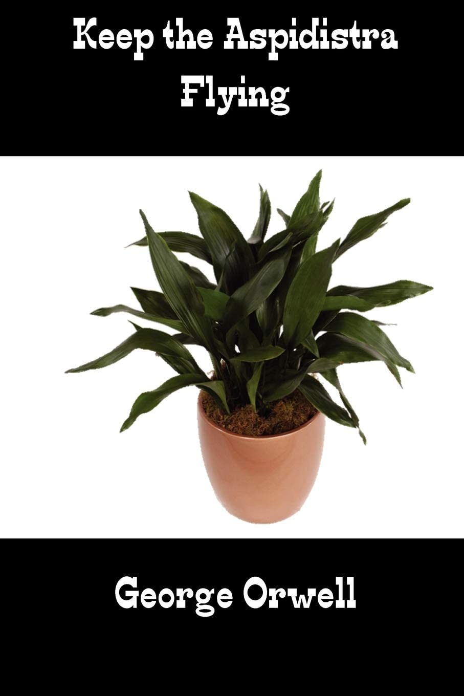 Keep the Aspidistra Flying